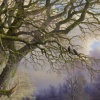 Winter Afternoon Light by Daniel Van der Putten, original painting