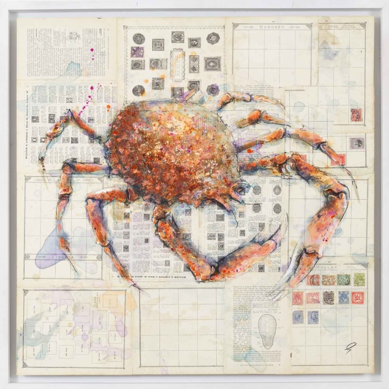 Spiny Spider Crab by Giles Ward
