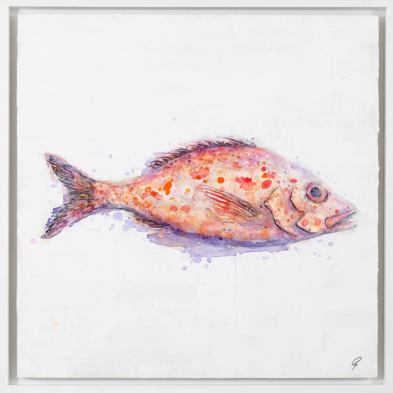 Red Snapper on Linen by Giles Ward