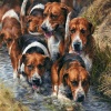The Waders by Anthony Dobson, limited edition print