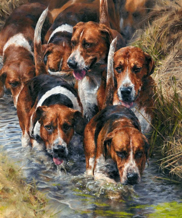 The Waders by Anthony Dobson, limited edition print