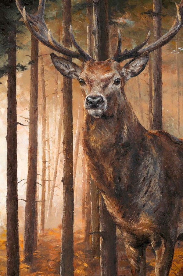Forest Gaze by Anthony Dobson, limited edition print, detail