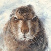 We Are Not Amused by Anthony Dobson, limited edition print