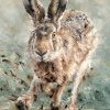 Splosh! by Anthony Dobson, limited edition print, detail