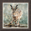 Splosh! by Anthony Dobson, limited edition print