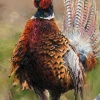 Cock O’The North by Anthony Dobson, limited edition print, detail