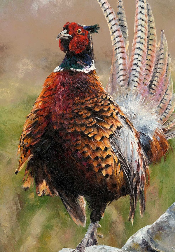 Cock O’The North by Anthony Dobson, limited edition print, detail