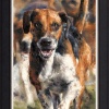 Ahead of the Pack by Anthony Dobson, limited edition print