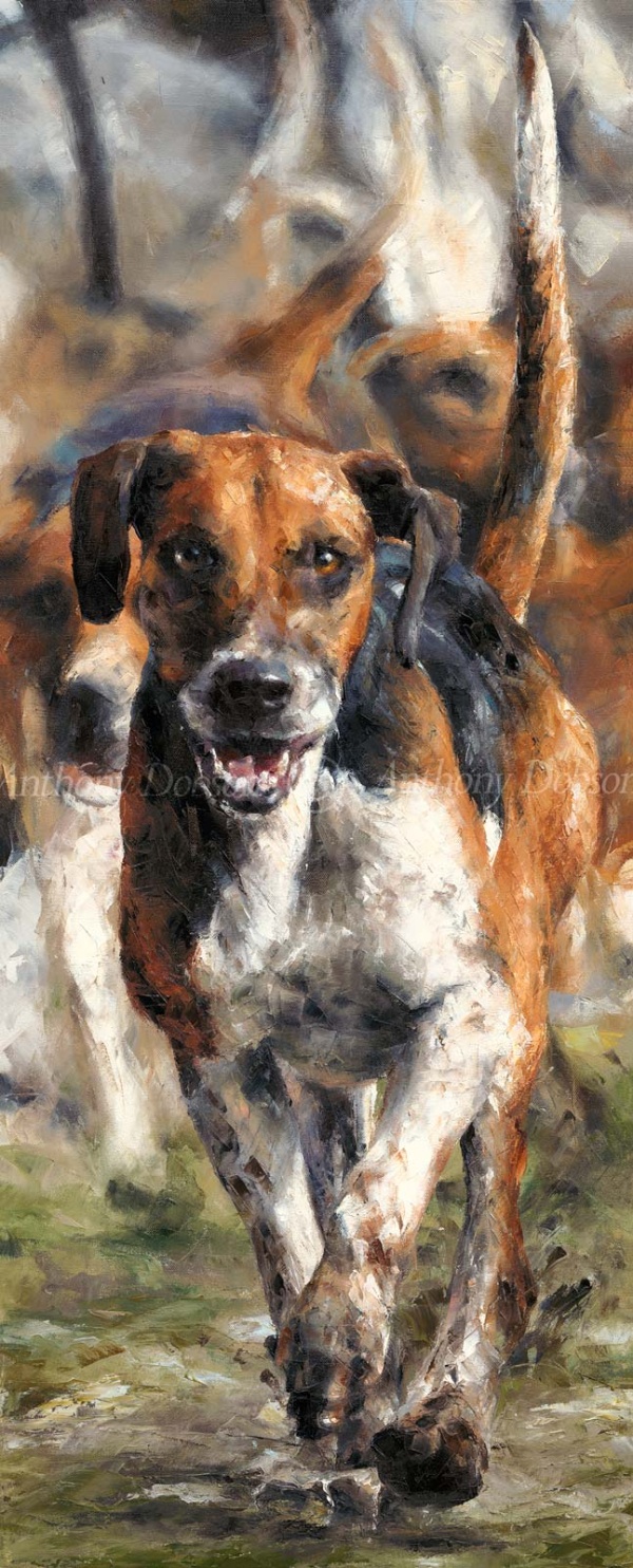 Ahead of the Pack by Anthony Dobson, limited edition print