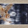 Stealth by Anthony Dobson, limited edition print
