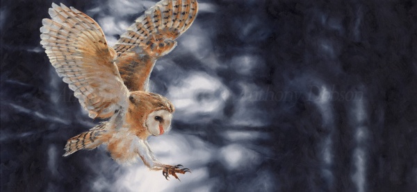 Stealth by Anthony Dobson, limited edition print
