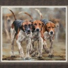 Out in Front by Anthony Dobson, limited edition print