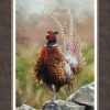 Cock O’The North by Anthony Dobson, limited edition print