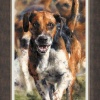 Ahead of the Pack by Anthony Dobson, limited edition print