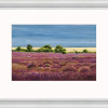 Dunwich Heath by Chris Ross Williamson, limited edition print