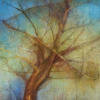 Mother Tree (Edition) by Hiroko Lewis, limited edition print