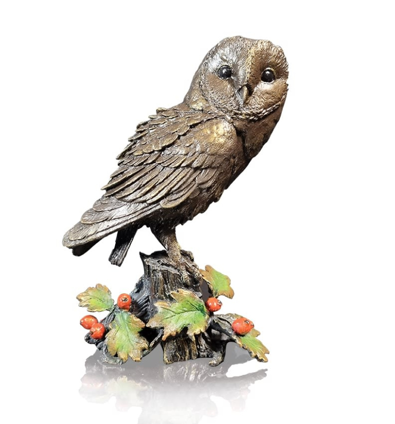 Barn Owl with Hawthorn
