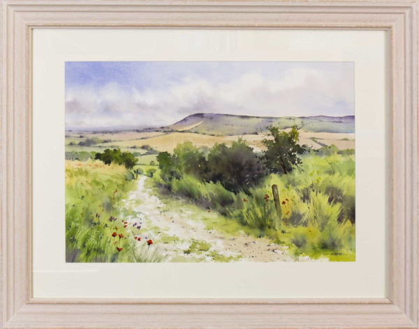 watercolour painting of the south Downs way path by oliver pyle