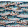 original painting of many fish with heavy texture and iridescent colour by giles ward