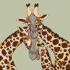 A Tall Trio by Amy Louise, limited edition print