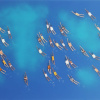 beautiful contemporary painting with blue ocean and textured swimmers on top of a layer of resin to appear like the sea by Ruben Abstract
