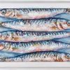 original painting of sardines laid out together with thick texture and iridescent colours by artist Giles Ward