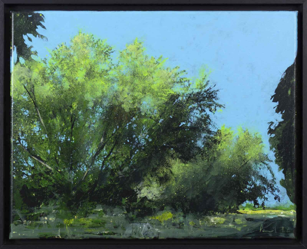 Willow Corridor Paul West