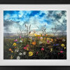 bright limited edition by artist Kimberley Harris with field flowers in the foreground and a rich blue sky