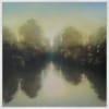 painting by artist Louise Fairchild of a serene misty river with tree reflections in muted tones