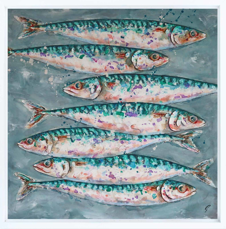 Mackerel Swim by Giles Ward