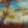 Mother Tree (Edition) by Hiroko Lewis, limited edition print