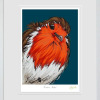 Rockin Robin by Amy Louise, limited edition print