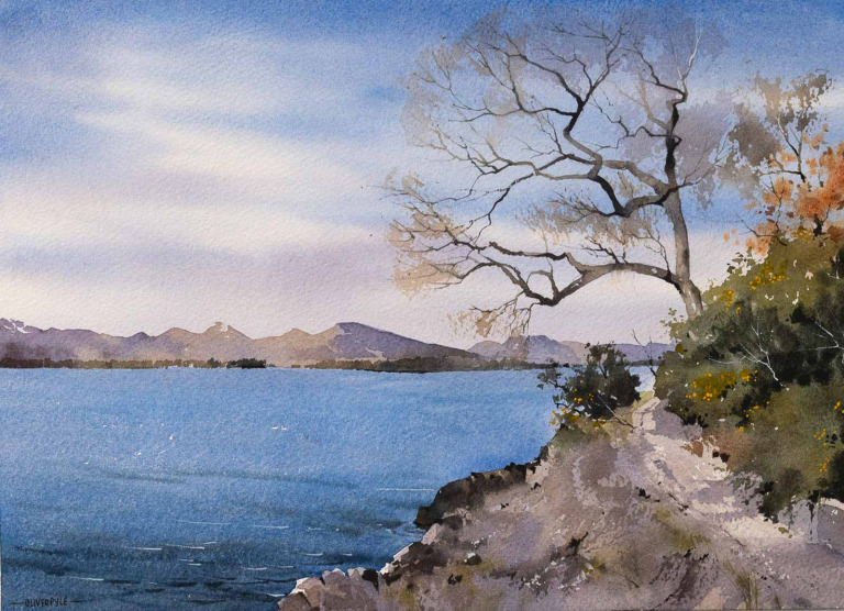Early Spring Near Balmaha