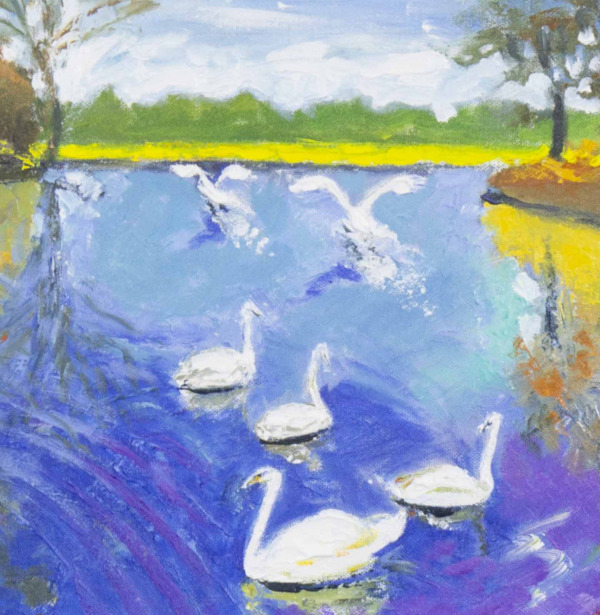 Swans Learning To Fly by John Lawrence, original painting