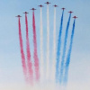 Jubilation by Michael Abrams, limited edition print, detail