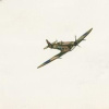 Wings Of Freedom by Michael Abrams, limited edition print, detail