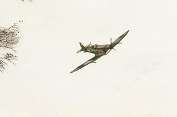 Wings Of Freedom by Michael Abrams, limited edition print, detail