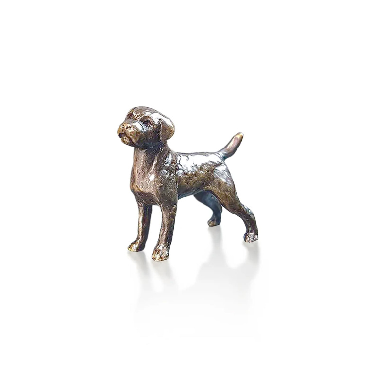 Miniature Bronze Border Terrier (2072)