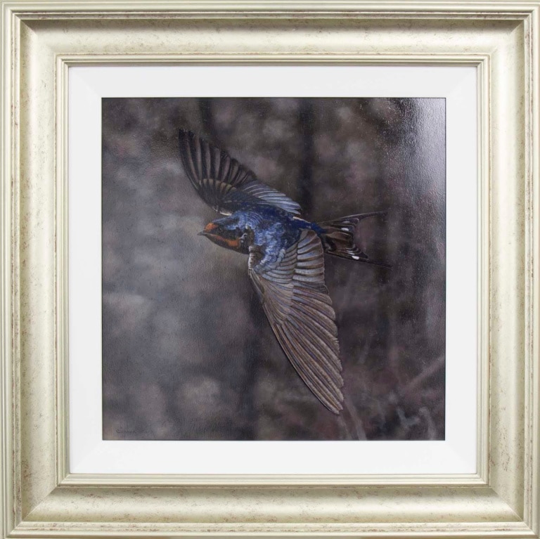 Barn Swallow Commission by Stephen Park