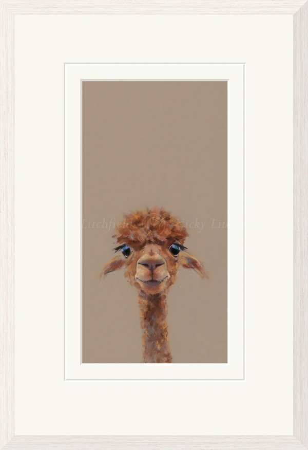 Adele, Llama by Nicky Litchfield, limited edition print