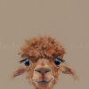 Adele, Llama by Nicky Litchfield, limited edition print