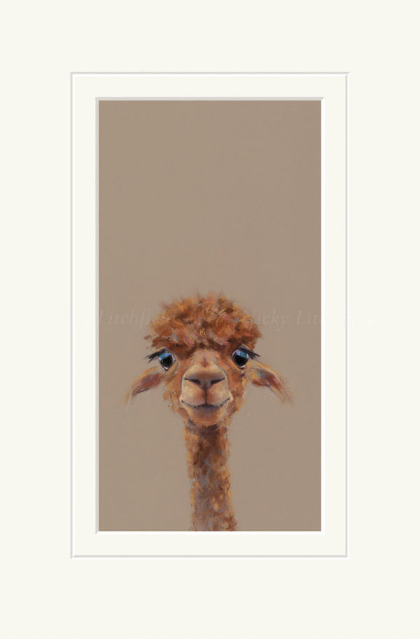 Adele, Llama by Nicky Litchfield, limited edition print