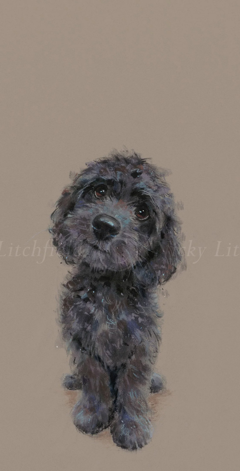 Best Behaviour, Cockapoo