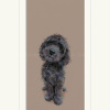 Best Behaviour, Cockapoo by Nicky Litchfield, limited edition print