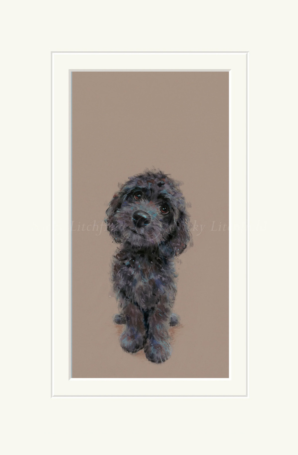 Best Behaviour, Cockapoo by Nicky Litchfield, limited edition print