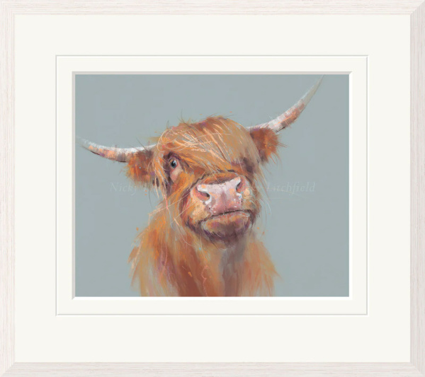 Brodie, Highland Cow by Nicky Litchfield, limited edition print