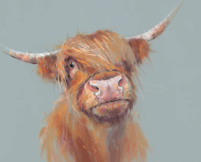 Brodie, Highland Cow