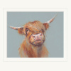 Brodie, Highland Cow by Nicky Litchfield, limited edition print