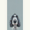 Can I Come Too? Cocker Spaniel by Nicky Litchfield, limited edition print