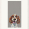 Happy Go Lucky, Springer Spaniel by Nicky Litchfield, limited edition print